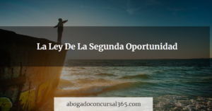 Lee más sobre el artículo  La Ley De La Segunda Oportunidad